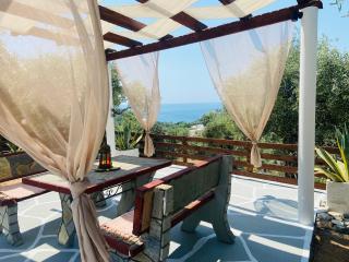 Dream house Villa - 4