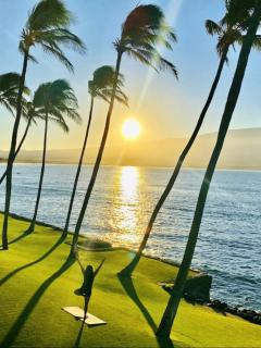 Spectacular luxury , modern oceanfront condo Maalaea-Kihei ,Maui - 6