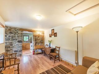 Cilwen Fach - Abernant - 5