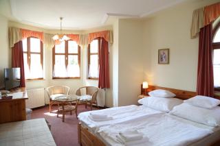 Hajdú Kastély Hotel - Hajdúszoboszló - 8