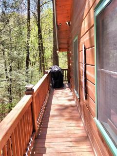 LUXURY CABIN WITH WATERVIEW AND PRIVACY, hiking - Blue Ridge - 4