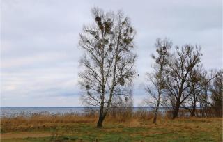 Beautiful Apartment In Rechlin - Zielow - 3