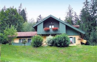 Nice Home In Bayerisch Eisenstein - Regenhütte - 6