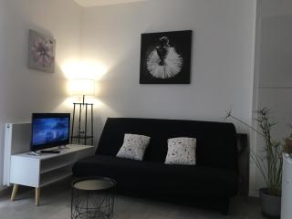 Appartement calme,lumineux ,hyper centre TOURS - Tours - 5