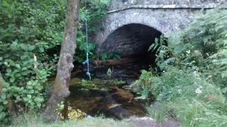 The Megabus near Tavistock and Dartmoor. - Lamerton - 1