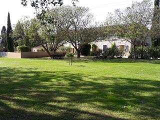 Le Mas des Vergers - Salon-de-Provence - 9