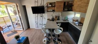 Mobilehome Elena Premium with Pool, Istria - 5