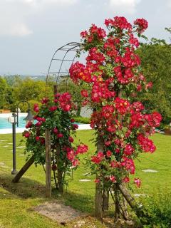 Garda Lake with private pool - Garda - 6