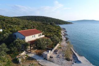 House Dolphin - Tkon - 8