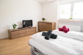 Ferienwohnung Am Kahlenberg - Ringsheim - Ringsheim - 4