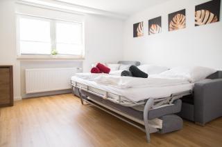 Ferienwohnung Am Kahlenberg - Ringsheim - Ringsheim - 3