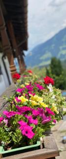 Pension Leamhof - Hopfgarten im Brixental - 2