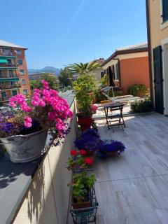 Calma di vento - Sestri Levante - 6