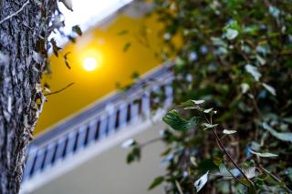 Lemon Lodges By Roomy, Nathiagali - Nathia Gali - 9