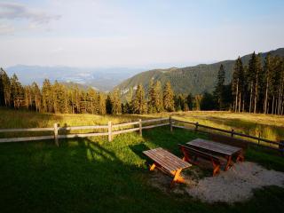Mountain Lodge Smrekovc - Šoštanj - 8
