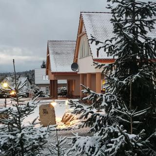 Domek Dzika Konwalia 2 - Zieleniec - 6