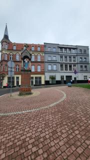 TRZY SOWY prywatne pokoje 24h wygodnelokumpl - 0