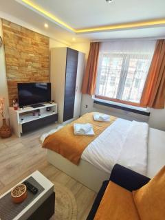 MILMARI STAR S71 LUX - Kopaonik - 5