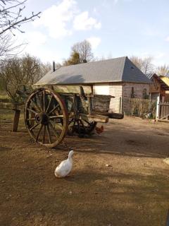 Gîte à la campagne - Saint-Léger-du-Gennetey - 6