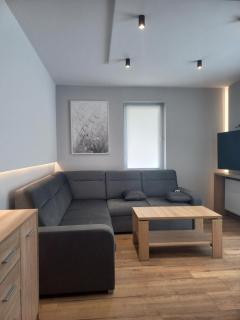 4 Sowy - Szczawnica - 2
