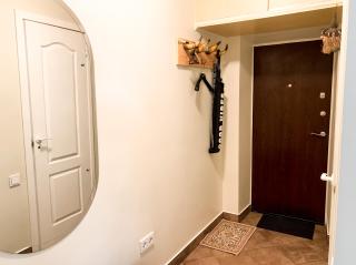 Vienuolio Apartament - jauki vieta poilsiui šalia upės - Anykščiai - 1