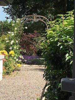 Kilbawn Country House - Kilkenny - 4