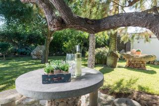 Finca SORT LLARGA by Mallorca Villa Selection - Pollença - 4