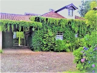 Casa da Roseira - Ponte de Lima - 1