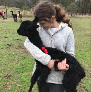Starline Alpacas Farmstay Resort - Broke - 9