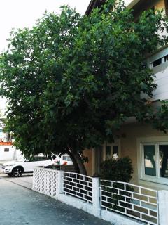 Apartman Smokva - Vodice - 9