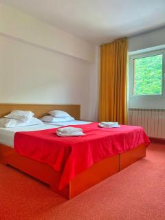 Hotel International - Băile Herculane - 8