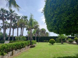 CASA JOAN - Elche - 1