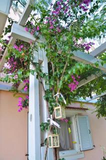 Jasmine maisonette - Mitikas - 3