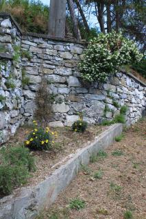 Villa ELENA - Mezzanego - 4