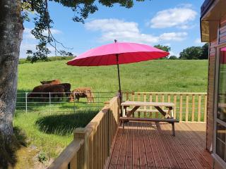 Gaerhyfryd Static Caravan & family friendly site - Corwen - 9