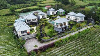 Batur Green Hill and Hot Spring - Kintamani - 5