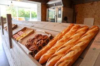 EuroParcs Schoneveld - 1