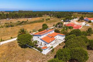 Arrifana Pines - Aljezur - 0