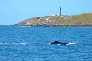 pousada corais de abrolhos - Caravelas - 4