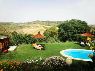 Finca El Porvenir - El Gastor - 0