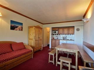 Appartement près des pistes avec vue Mont-Blanc, parking gratuit - FR-1-455-38 - La Plagne - 9