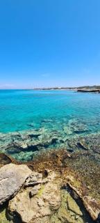 La maison del porto - 1