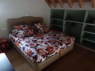 Mademoiselle Nineth met sauna - De Panne - 5