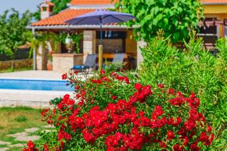 Sunny house - Smoković - 6