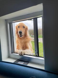 有間寓背包旅宿 - 6