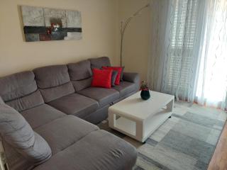 Apartments Gojka Miocevic - 5