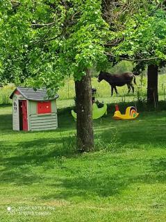 Petite ferme en pierre restaurée près de Périgueux - Champcevinel - 9
