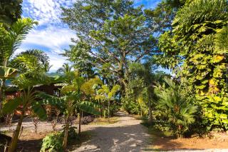 Beachfront Villa Starfish w AC and POOL - Puerto Viejo - 3
