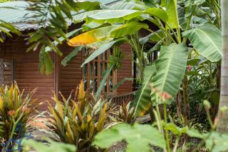 Beachfront Villa Starfish w AC and POOL - Puerto Viejo - 1