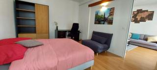 la Paix Appartement avec 2 chambres en plein cœur d'Annecy - Annecy - 6